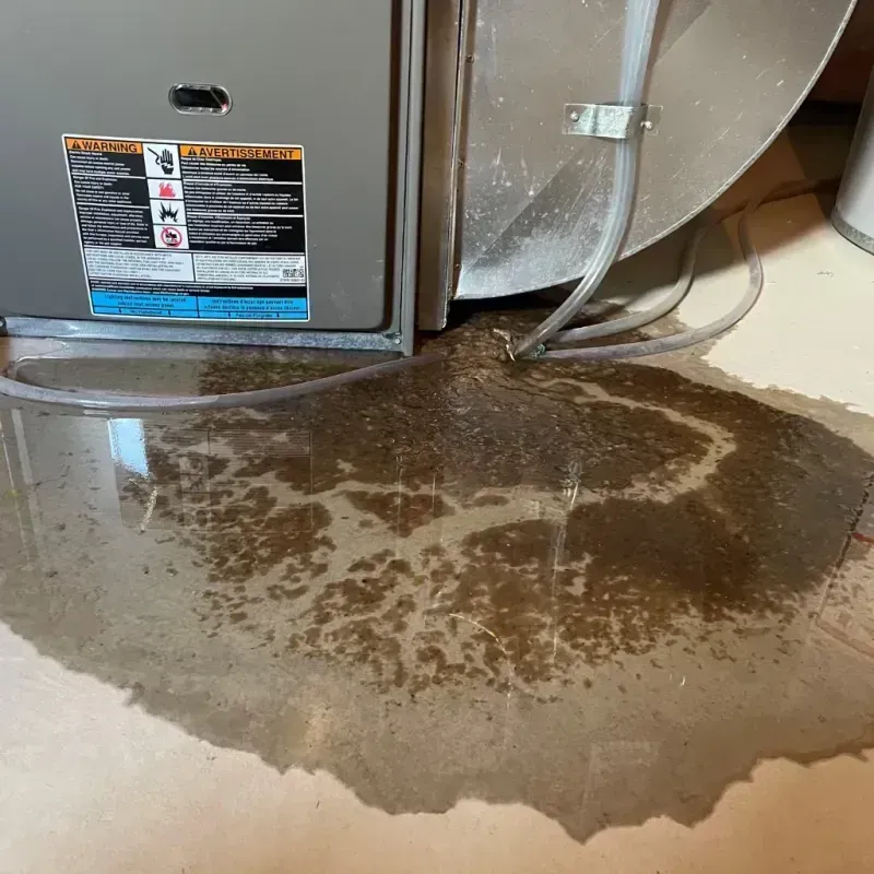 Appliance Leak Cleanup in Blairsville, PA